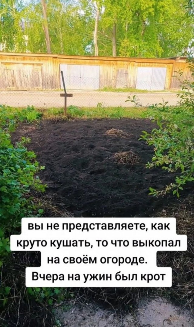 ТРРРидцать тРРРи от 3 июня