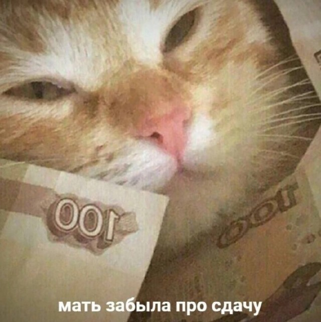 Весёлый полтишок 06.06.25