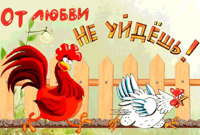 Мир перевернулся - новые правила в отношениях с мужчинами