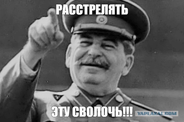 Почему обезьяна не становится человеком