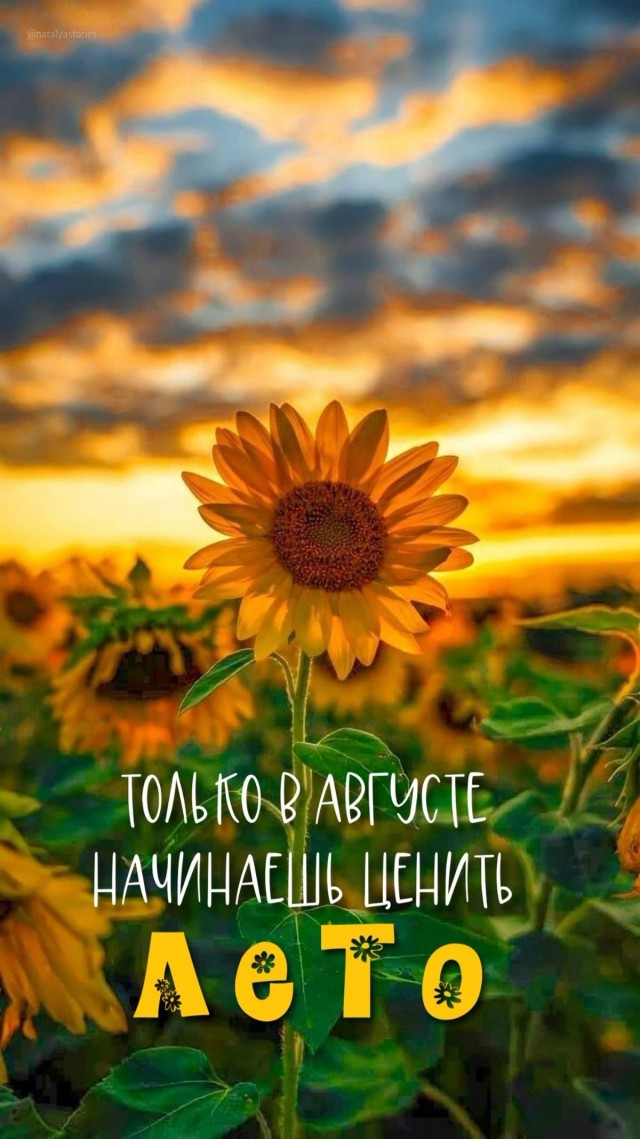 Прикольные и просто красивые картинки 08.08.2025