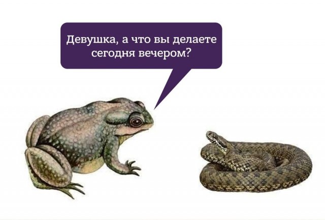 Картинки для деградации 36 (разной степени свежести)