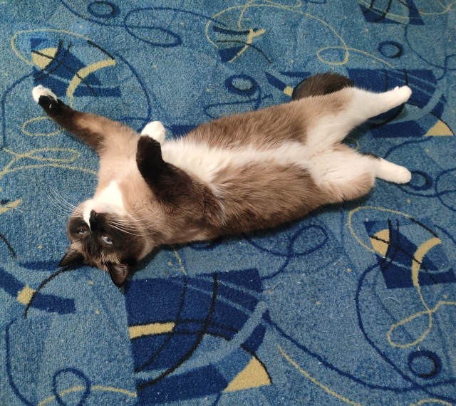 Да я просто полежу. Кому я мешаю?