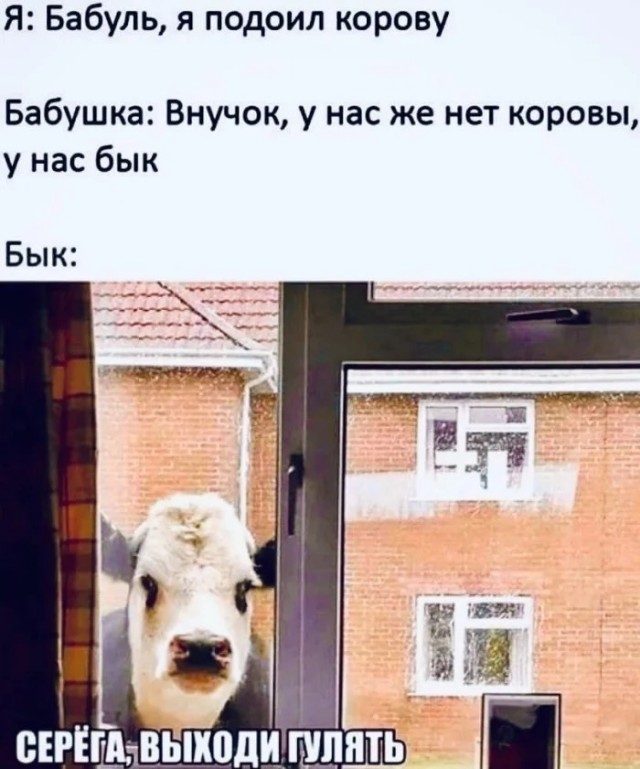Картинки для деградации 79 (разной степени свежести)