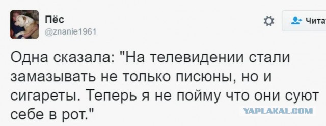 Глава СПЧ назвал вырезание сцен из фильмов абсолютной глупостью