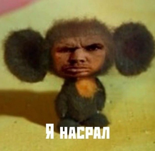 Насри победил Насралла на выборах в Гондурасе