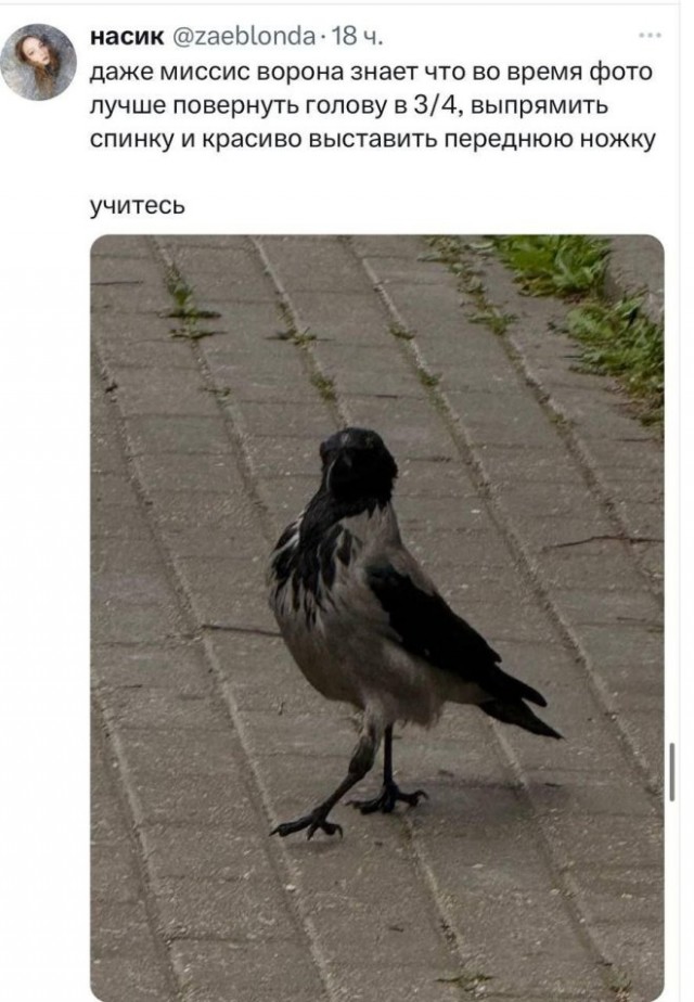 веселые картинки в пятницу