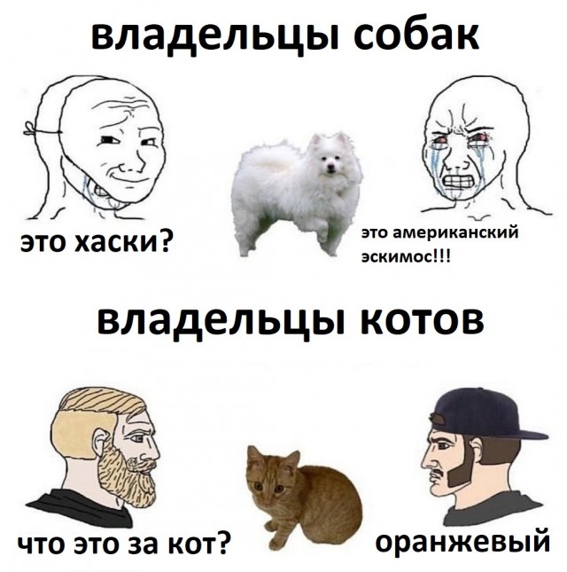 Пока не подружились