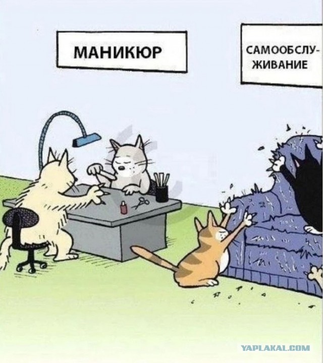 Драть буду это и Точка
