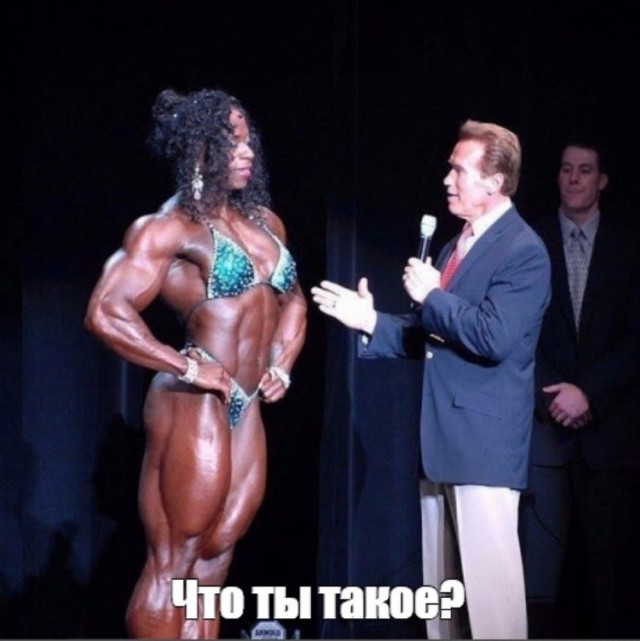 Гусары, внимание!