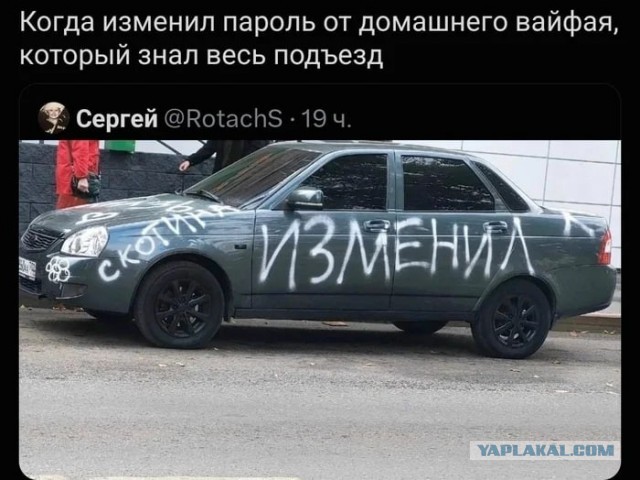 Утренний сюрприз на Открытом шоссе