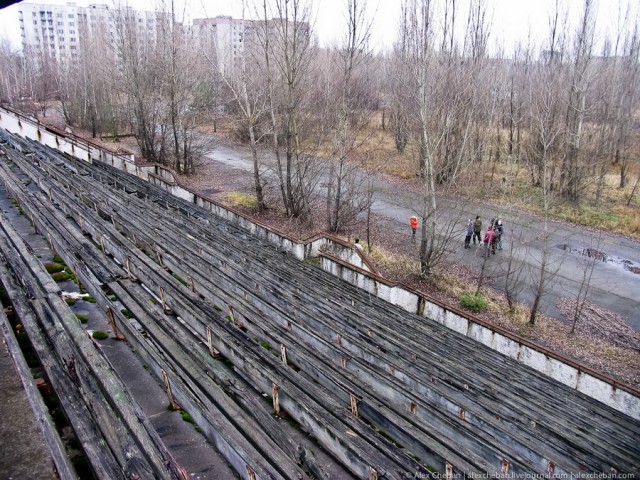 Землетрясение в Японии (фото, видео)