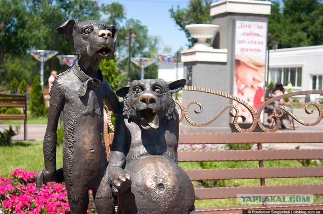 Настоящий Йошкин Кот