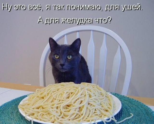 Как приручить девушку