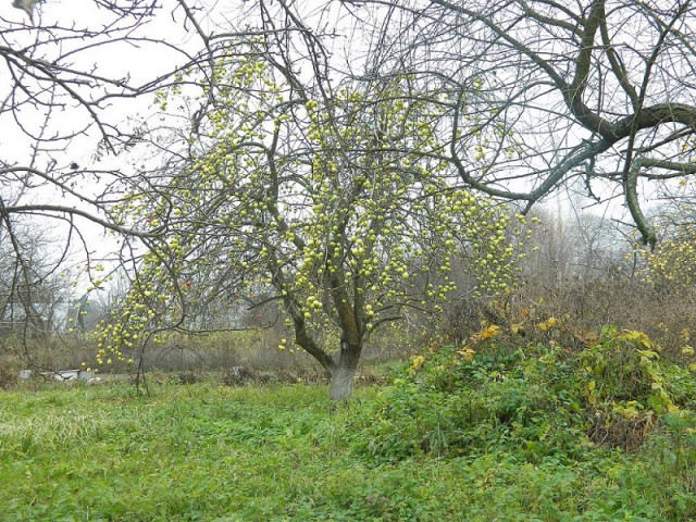 Красивая Россия