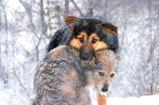 Взгляд