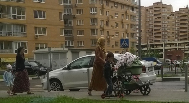 Московские размышления московского москвича