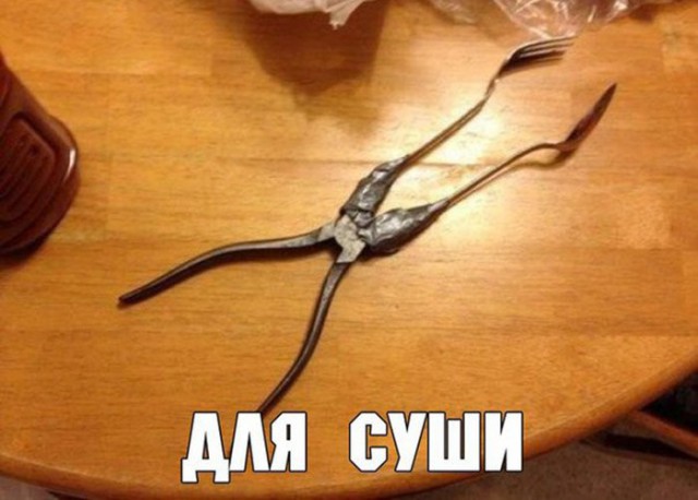Подборка безудержного веселья