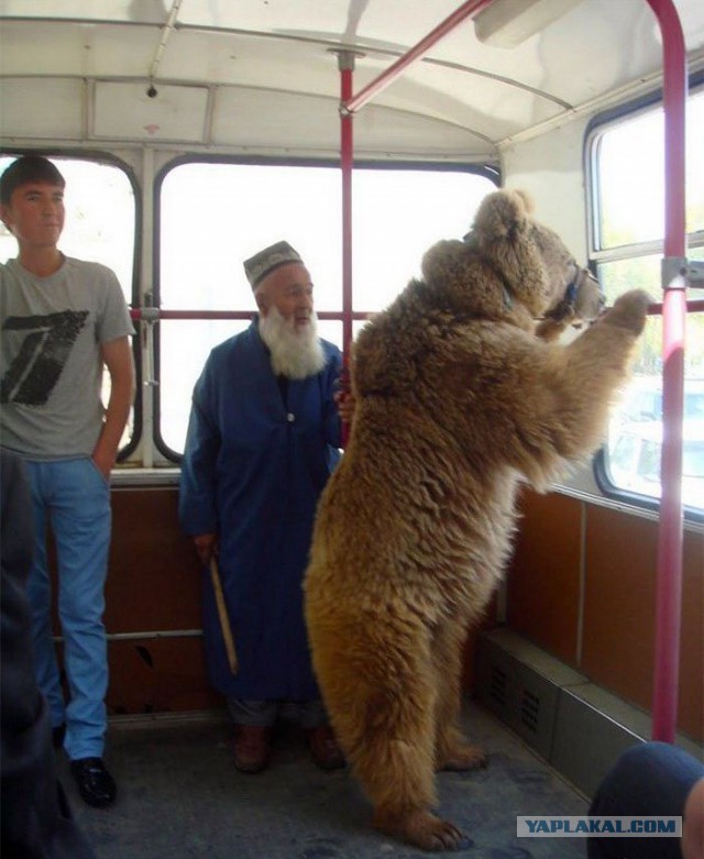 Загнивающий запад, вся правда 18+
