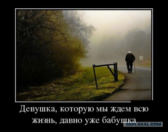Подборка разных демотиваторов