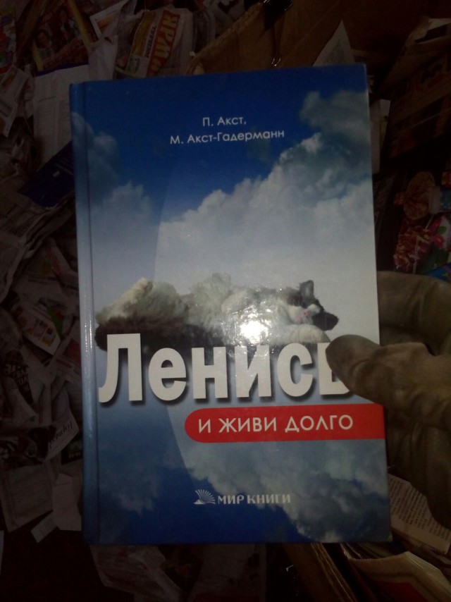 Пятничные ерундушки