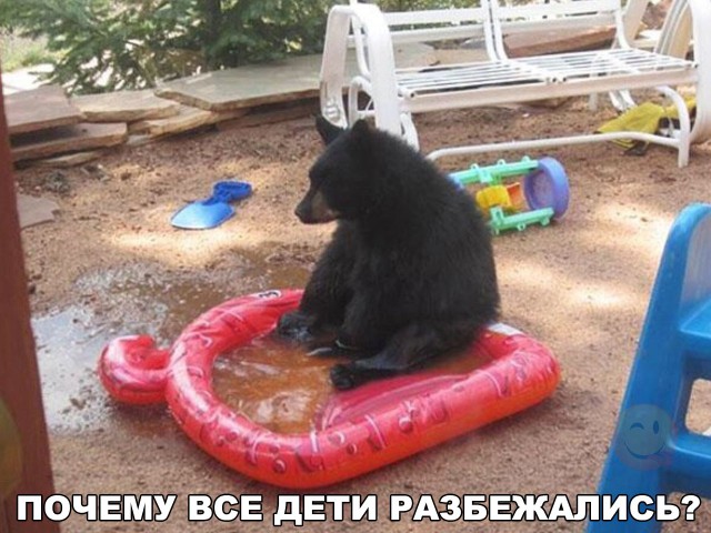 Подборка забавных животных