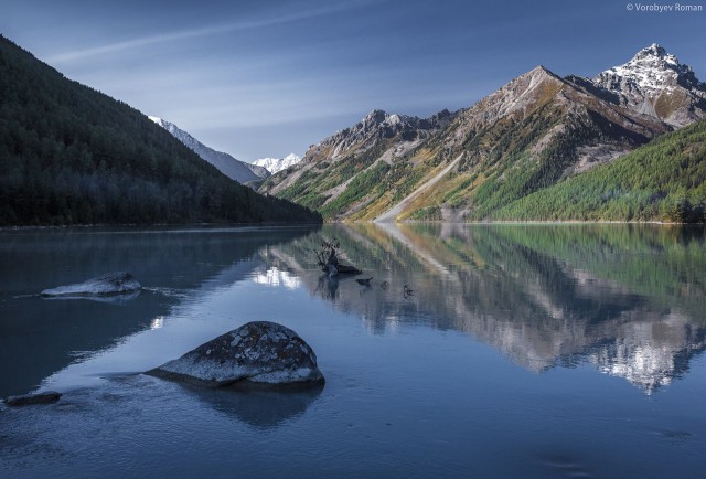 Картинок всяких