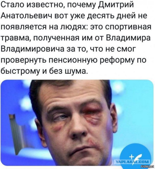 Медведев нашелся
