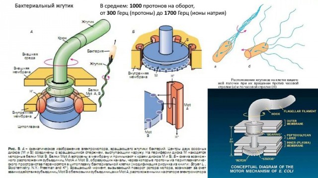 Физик Митио Каку верит в существование Бога