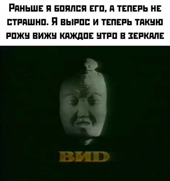 13013933.jpg