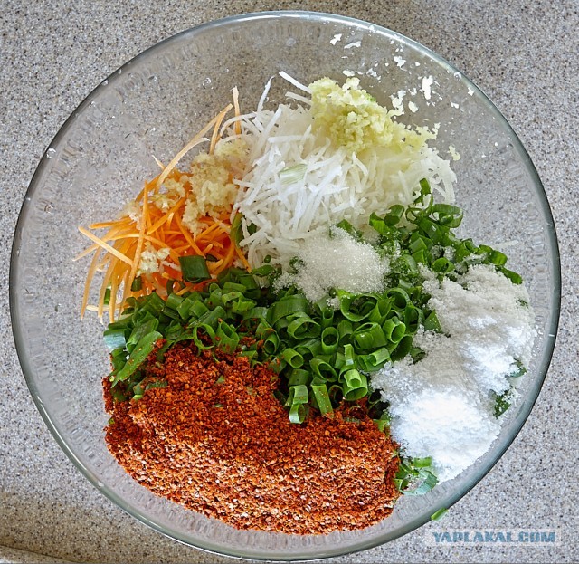 Огурцы малосольные по-корейски // Ои Cобаги // Кимчи из огурцов