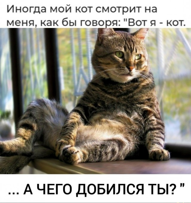 Немного мемов