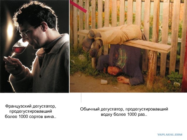 10000 голов