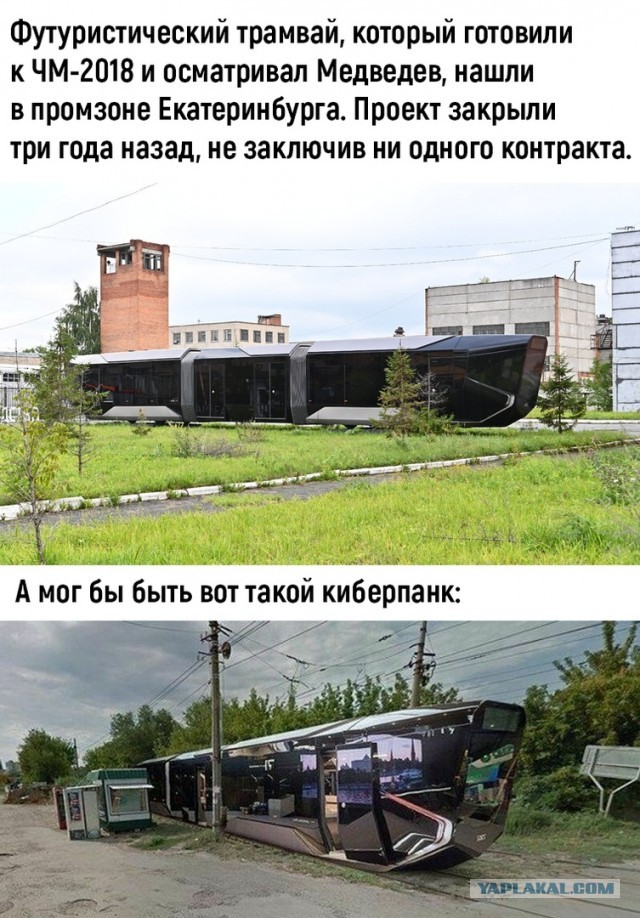 Бредзона 19.08.2020