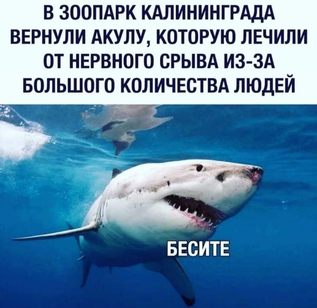Бредзона 29.08.20