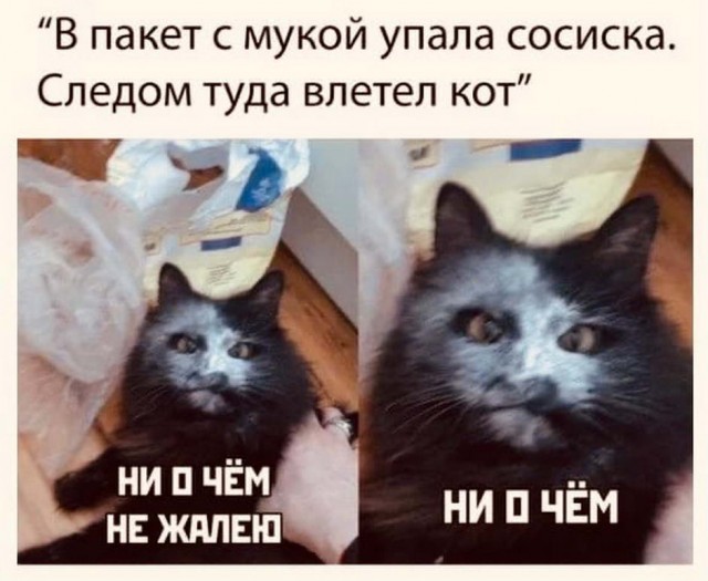 Бредзона 25.10.20