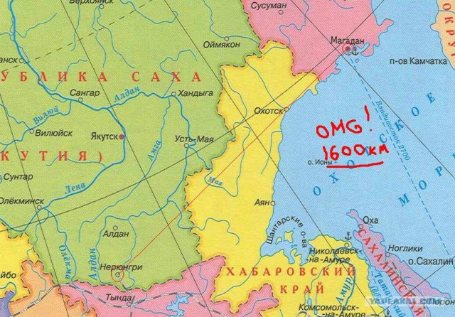 Вольный художник Серёга