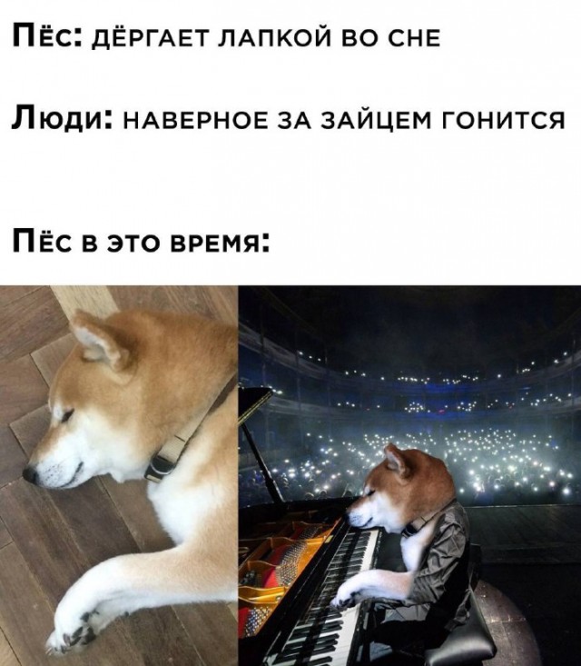 Музыкальная пауза