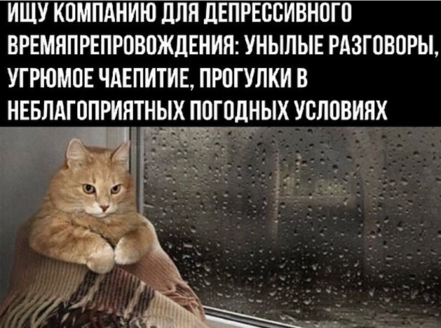 Картинки и мемы для настроения 09.09.2021