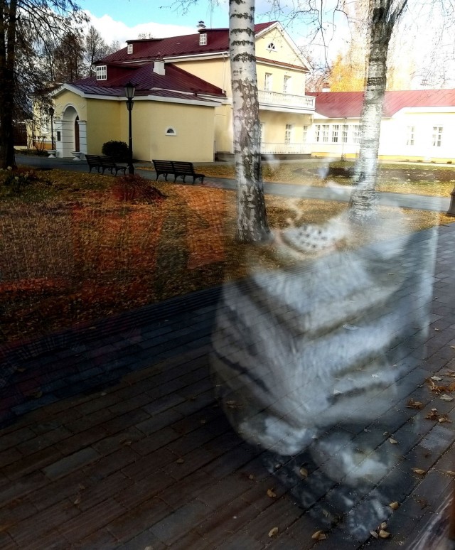 Котовторнику быть