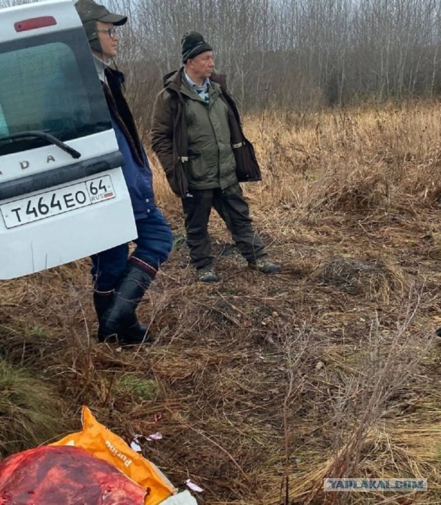 Депутат Рашкин признался в убийстве лося