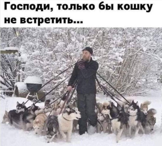Картинки и мемы для настроения 01.12.2021