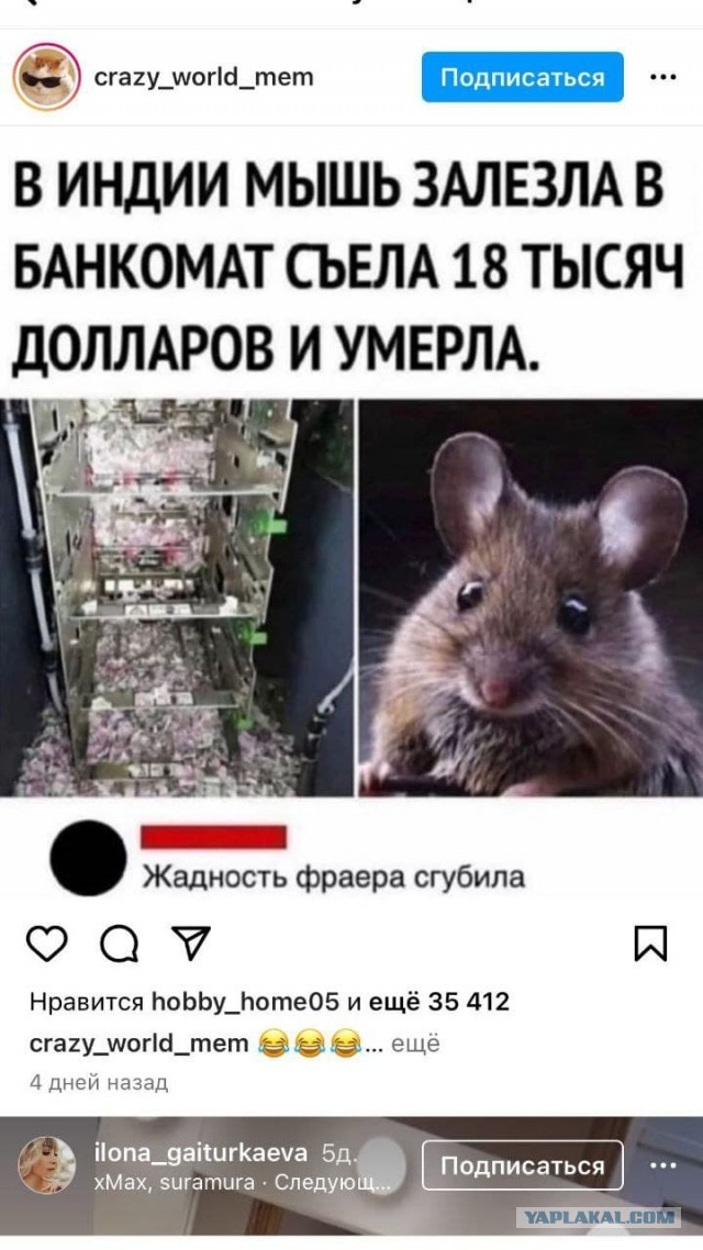 Веселые картинки и видосики
