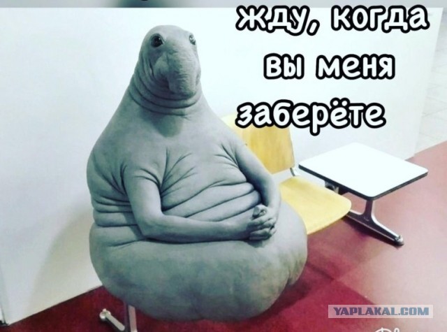 Рубль продолжает радовать
