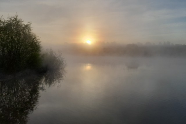 Туман, река, Воронеж