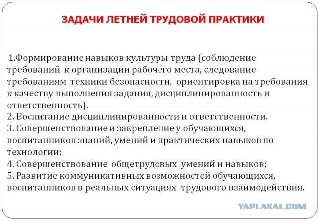 Родителям школьников предоставили выбор — детский труд или сдать деньги классному руководителю