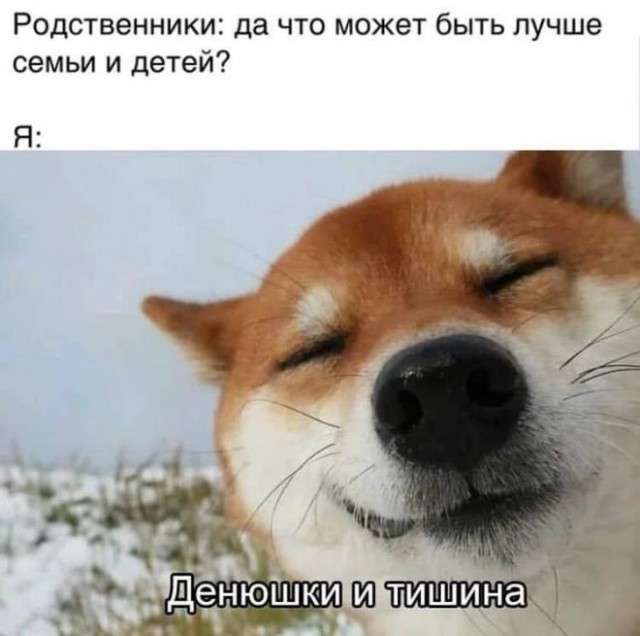 Так себе картинки 18.06.22