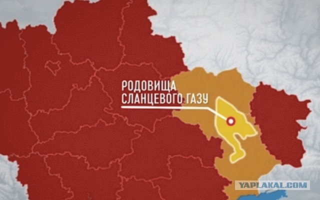 Пандемия съехавших крыш - разновидности болезни. Россия и мир. Часть 38