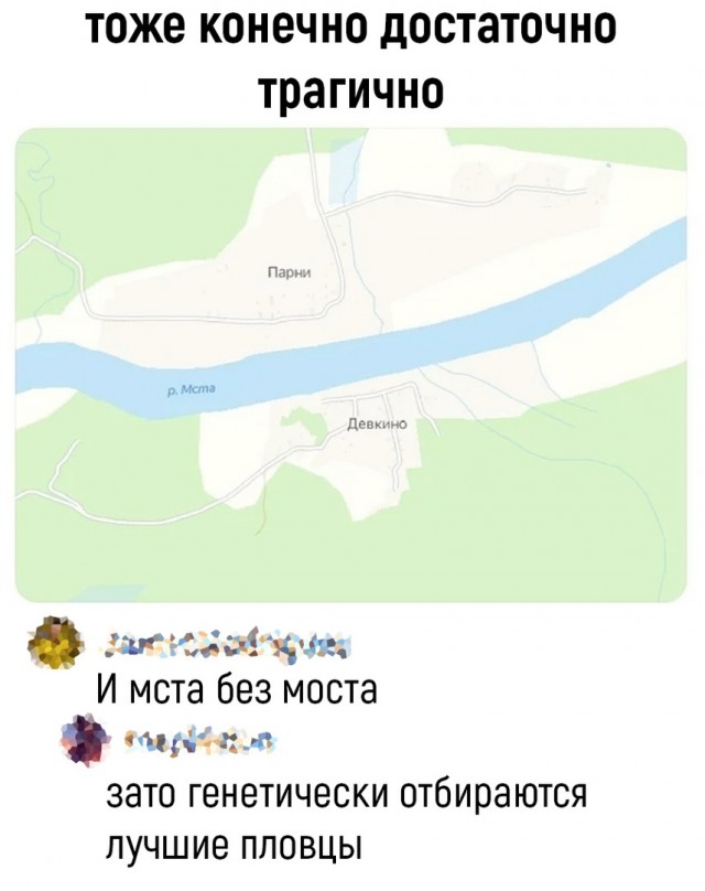 Так себе картинки 25.07.22