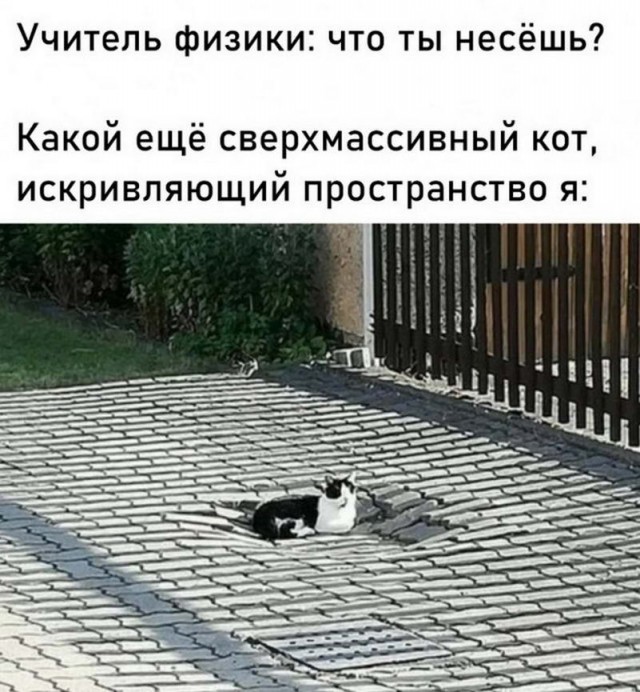 Немного картинок для настроения - 117